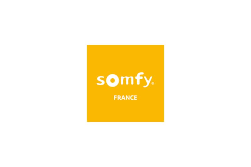 Entretien de motorisation de portail Somfy à Lyon et dans le Rhône (69)
