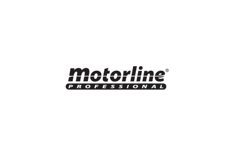 Contrat d’entretien pour motorisation de portail MOTORLINE à Lyon